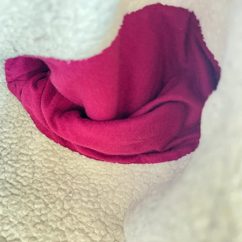 Gap M 38 veste sweat shirt capuche hoodie jacket Jacke jas fushia violet molletonné